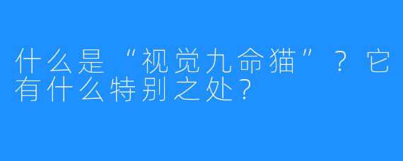 什么是“视觉九命猫”？它有什么特别之处？