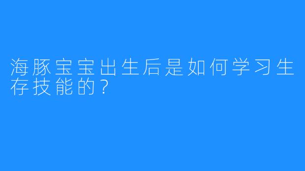 海豚宝宝出生后是如何学习生存技能的？