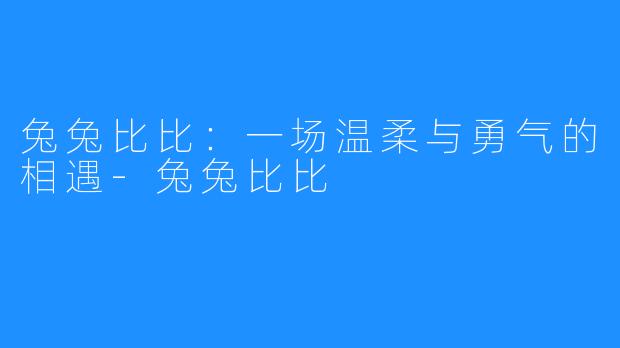 兔兔比比：一场温柔与勇气的相遇-兔兔比比