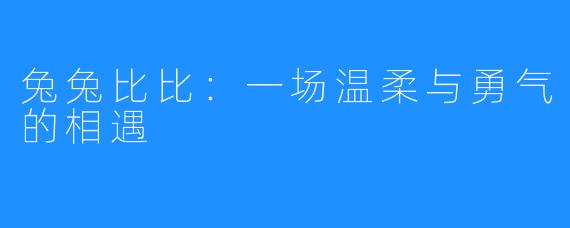 兔兔比比：一场温柔与勇气的相遇