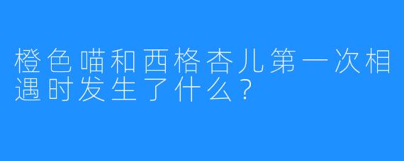 橙色喵和西格杏儿第一次相遇时发生了什么？