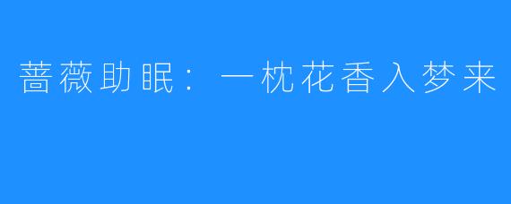 蔷薇助眠：一枕花香入梦来