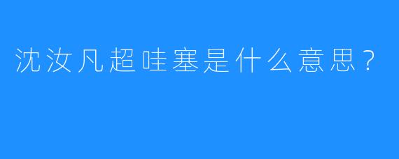 沈汝凡超哇塞是什么意思？