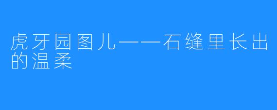 虎牙园图儿——石缝里长出的温柔