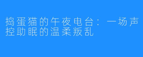 捣蛋猫的午夜电台：一场声控助眠的温柔叛乱