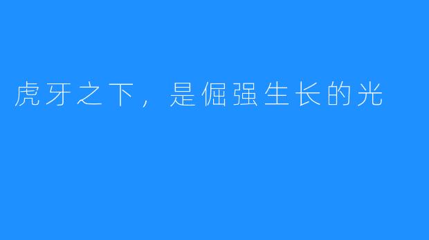 虎牙之下,是倔强生长的光